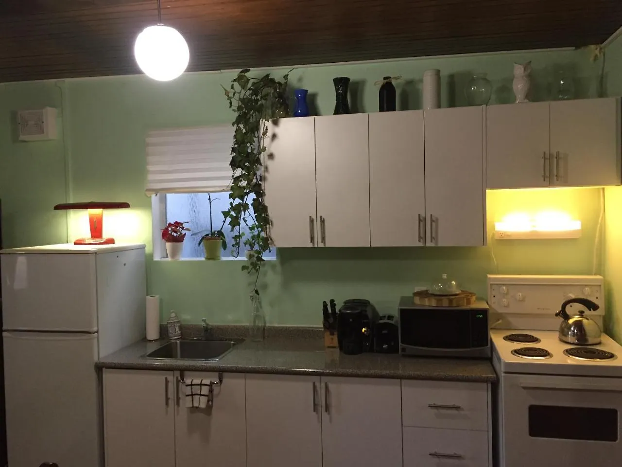 公寓 Cabbagetown Bachelor Studios 多伦多 加拿大