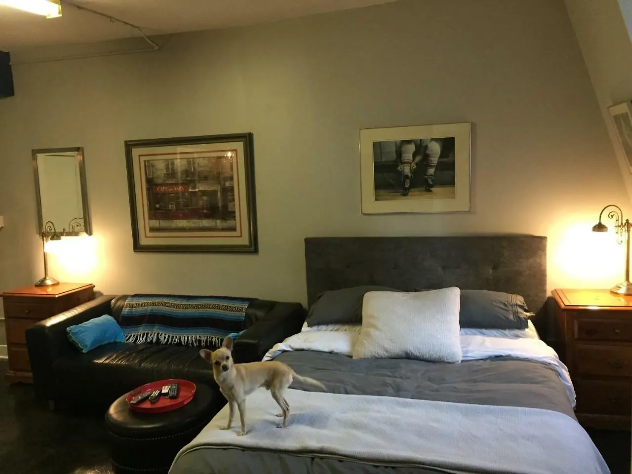 Cabbagetown Bachelor Studios 多伦多 加拿大