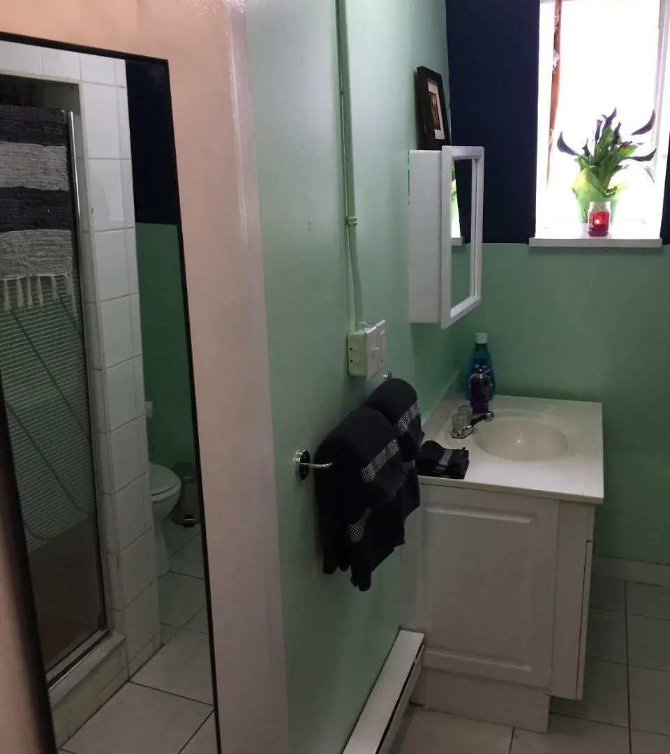 Cabbagetown Bachelor Studios 多伦多