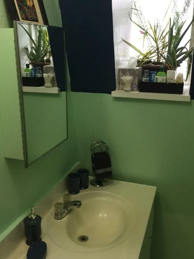 Cabbagetown Bachelor Studios 多伦多 0*,