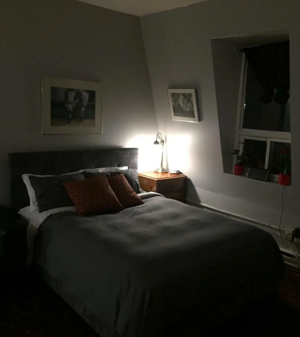 טורונטו Cabbagetown Bachelor Studios דירה
